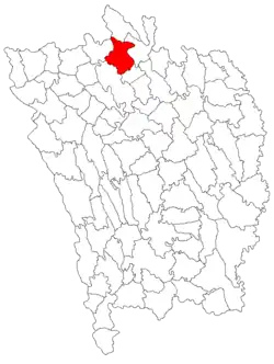 Location in Vaslui County