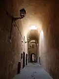 Vaulted passage in the palace ruins of the Dar el-Kebira neighbourhood