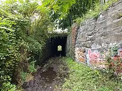 Delaware Avenue Tunnel in Kingston as it appeared in October, 2018