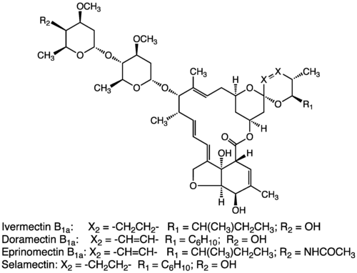 Avermectins are structurally related to emamectin