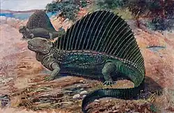 Dimetrodon