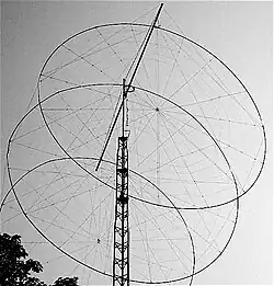 Detail of a three loop "quad" made of large parallel-plane, round loops (so not actually quadrilateral)