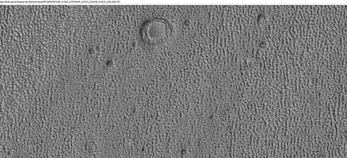 Ring mold craters of various sizes on floor of a crater, as seen by HiRISE under HiWish program Location is Ismenius Lacus quadrangle.
