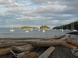 Sail boats anchored off a beach covered with driftwood