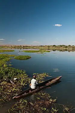 Manambina, on a lake