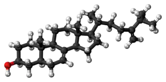 Ball-and-stick model of episterol