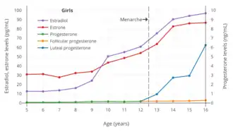Estrogen and progesterone levels during childhood and adolescence, including puberty, in girls. The dashed vertical line is the average age of menarche (first menstruation and onset of menstrual cycles).