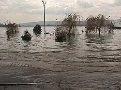 Tsunami wave causing minor surge