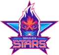 Shoulda Been Stars logo