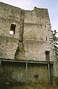 Chimney and wall of Farnsburg Castle