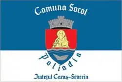 Flag of Socol