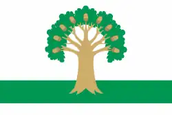 Flag of Arkhangelsky District