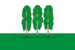 Flag of Beryozovsky District