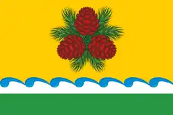 Flag of Choysky District