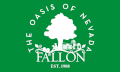 Flag of Fallon, Nevada