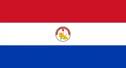 Flag from 1990 to 2013 (reverse). Ratio: 27:50