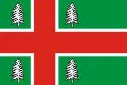 Flag of Rameshki, Tver Oblast