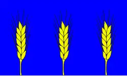 Xgħajra (1993–2000)