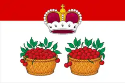 Flag of Yuryev-Polsky District