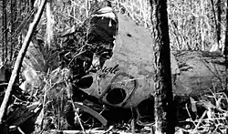 An burnt-out aircraft fuselage in a forest