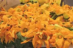 Squash Blossom (Ilo: Sabong Karabasa)
