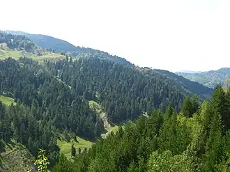 Focul Viu natural reserve in Andreiașu de Jos