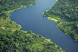 Dense Amazonian forest canopy with a winding river cutting through the greenery