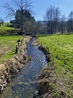 Gaulbach near Niedergaul.