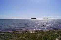 Græsholm og Svelmø