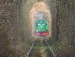A train passing through the tunnel (1)
