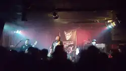 Groovy Aardvark photographed in St. Hyacinthe, Quebec, Canada at Le Zaricot.