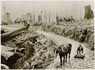 Mud at Gunyah – 1913