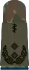 Oberfeld­arzt (hum. medicine)