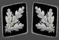 Gorget patches 1942–1945 (Allgemeine SS and Waffen-SS)