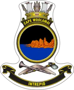 Ship's badge