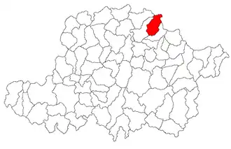Location in Arad County