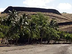 Palms at Puʻukohola Heiau
