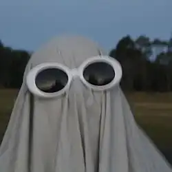 A person with a white sheet over them wearing sunglasses standing in a park with trees in the background