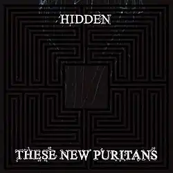 A gray, swirled image with a black, four-quadrant maze overlaid. Atop this image is the all-caps text "Hidden" at the top, and "These New Puritans" at the bottom.