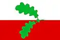 Flag of Hořešovice
