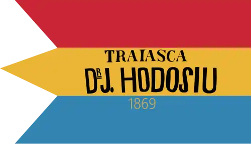 Tricolor used in 1869 election by supporters of Iosif Hodoșiu (reverse side)