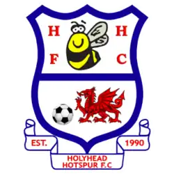 Holyhead Hotspur Badge
