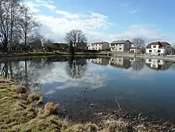 Houses around a pond