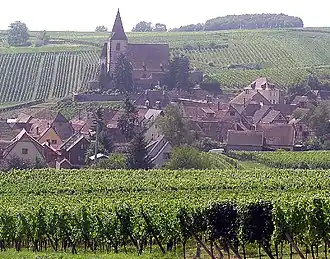 View of Hunawihr, with the fortified Saint-Jacques-le-Majeur Church and vineyards