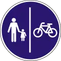 D-029 Shared pedestrian and cycle path (with separation)