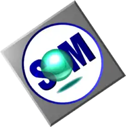 IBM SOM Logo