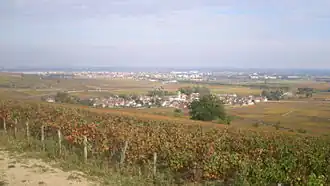 A general view of Pommard