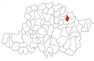 Location in Arad County