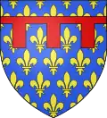 Arms of the Count of Anjou