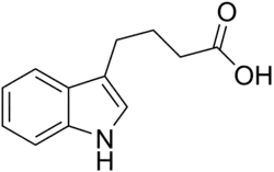 Skeletal structure diagram